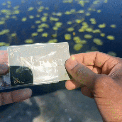 The Official N-Pass